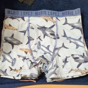 6 Boys Multicolored Shark Print/Beach Striped Boxer Briefs